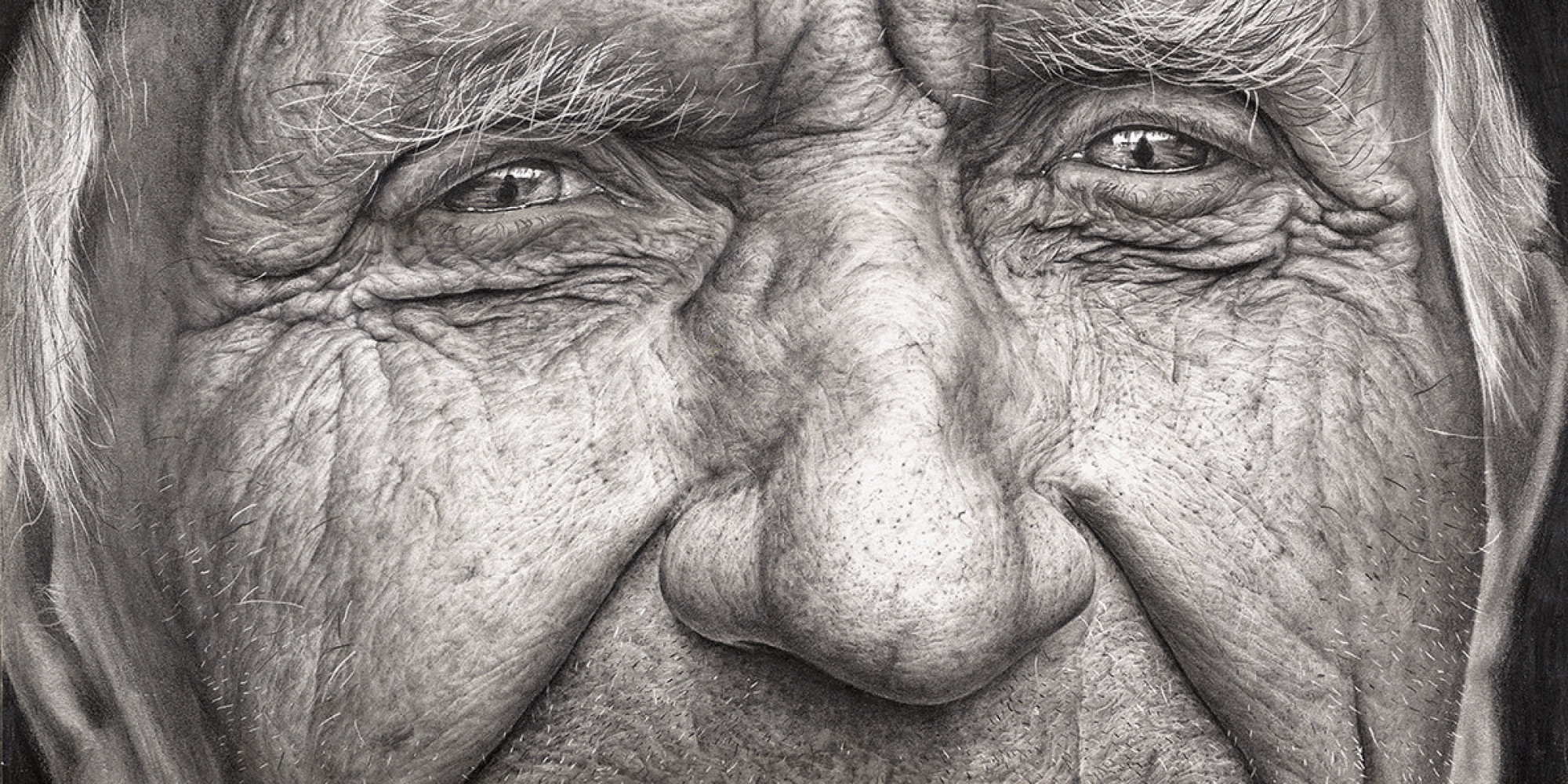 Bizarre Habits of Animals: The Surprising Way Sloths Navigate