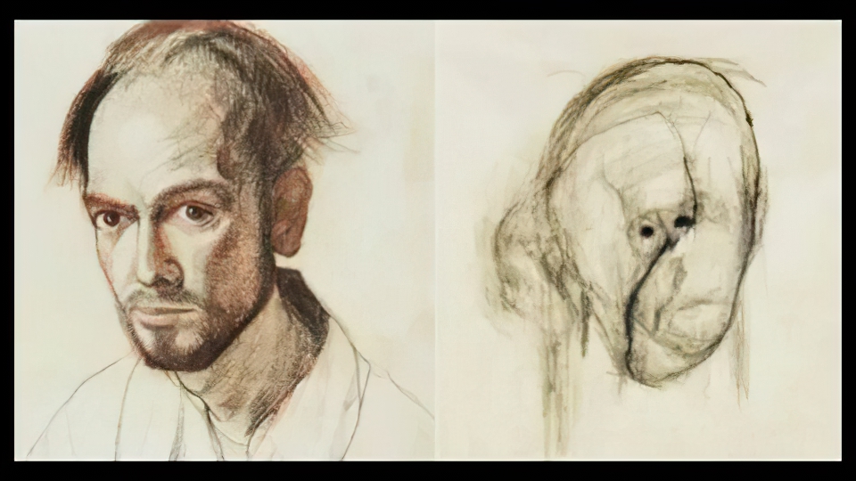 Unique Wildlife Adaptations in the Desert