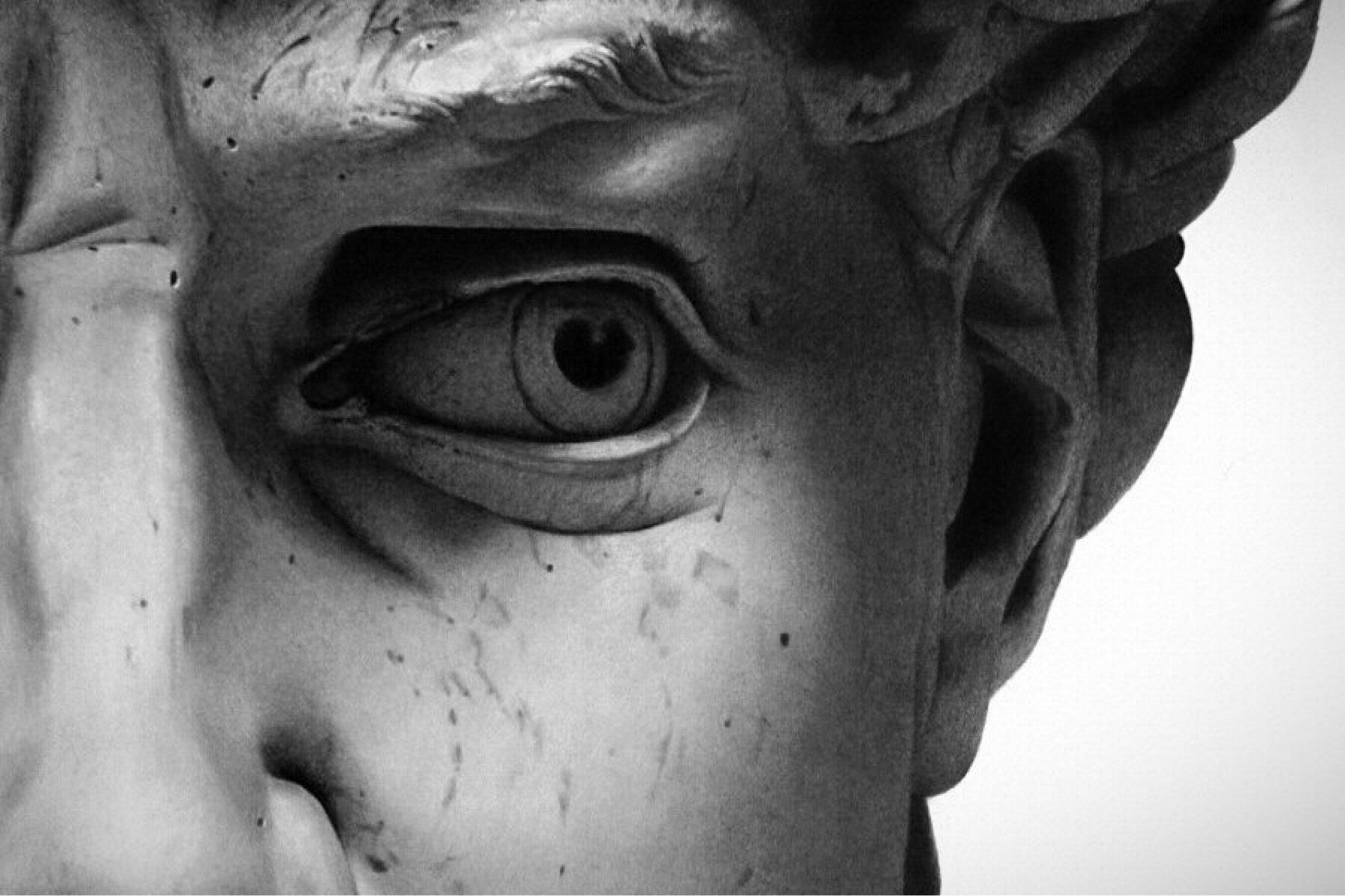 Fascinating Discoveries from the Natural World