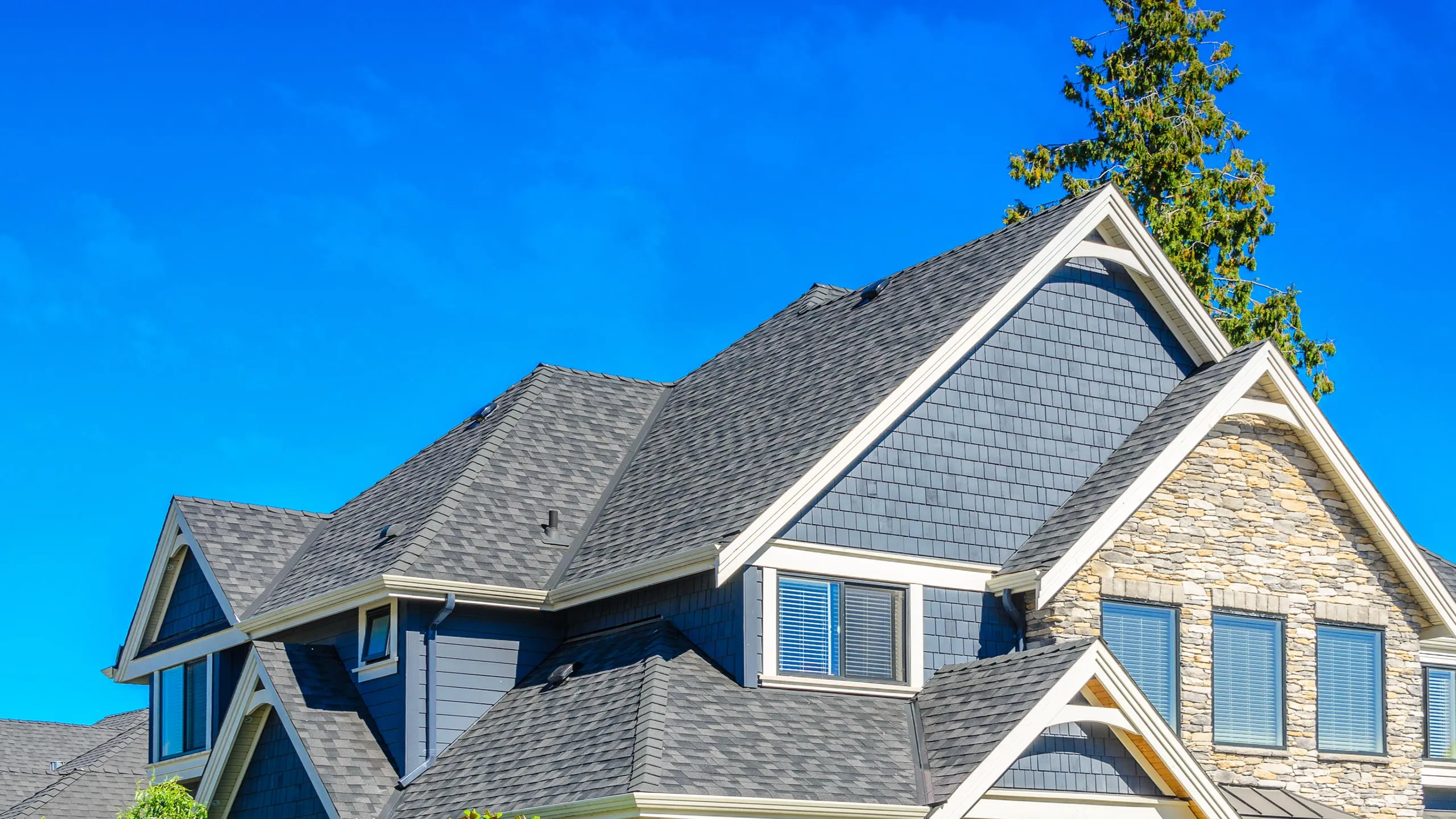 - A Closer Look at the Leading Roofing Experts Near You