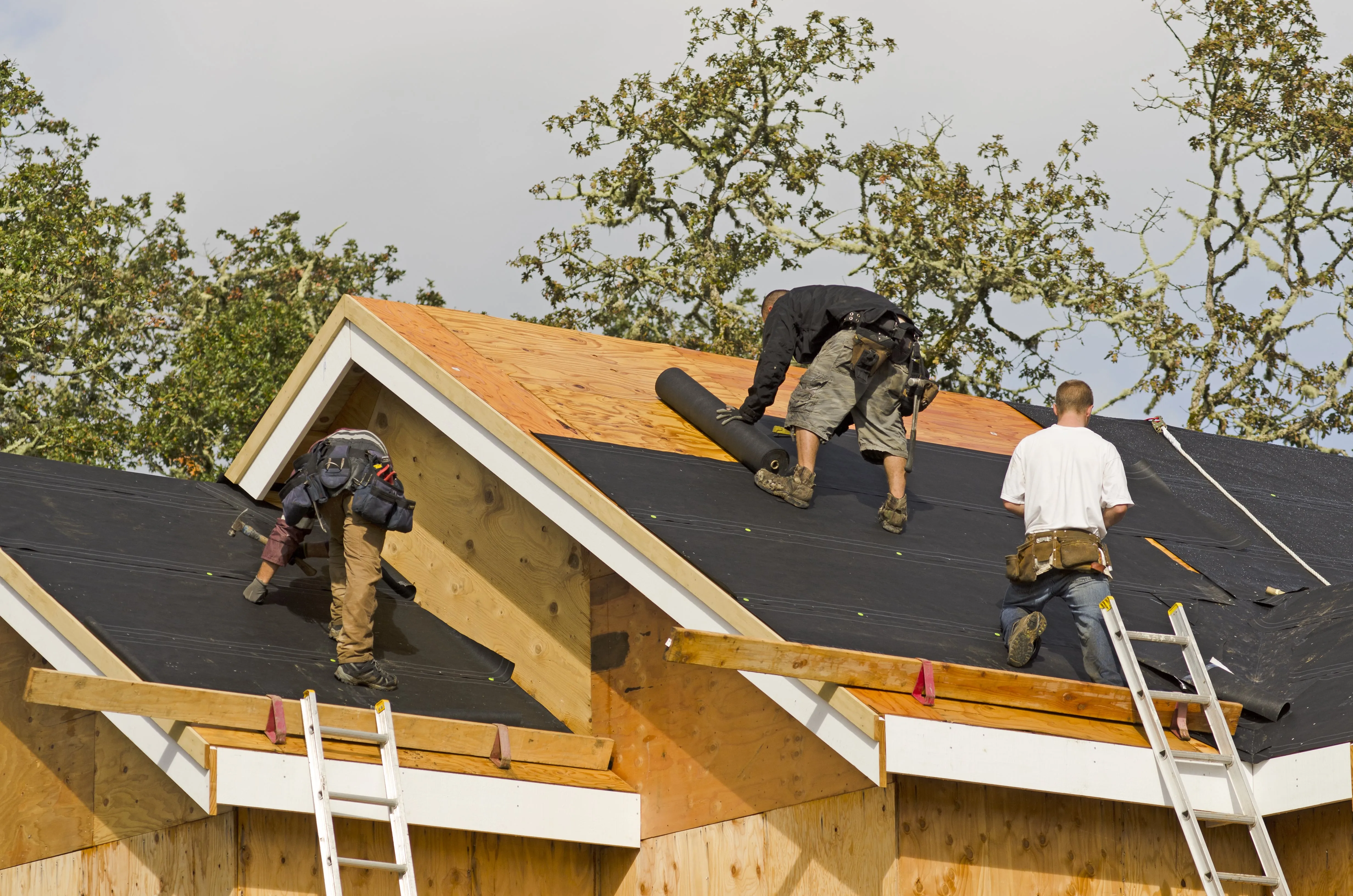 Heading 1: Understanding the Importance of Prompt Aluminum Roof Repairs