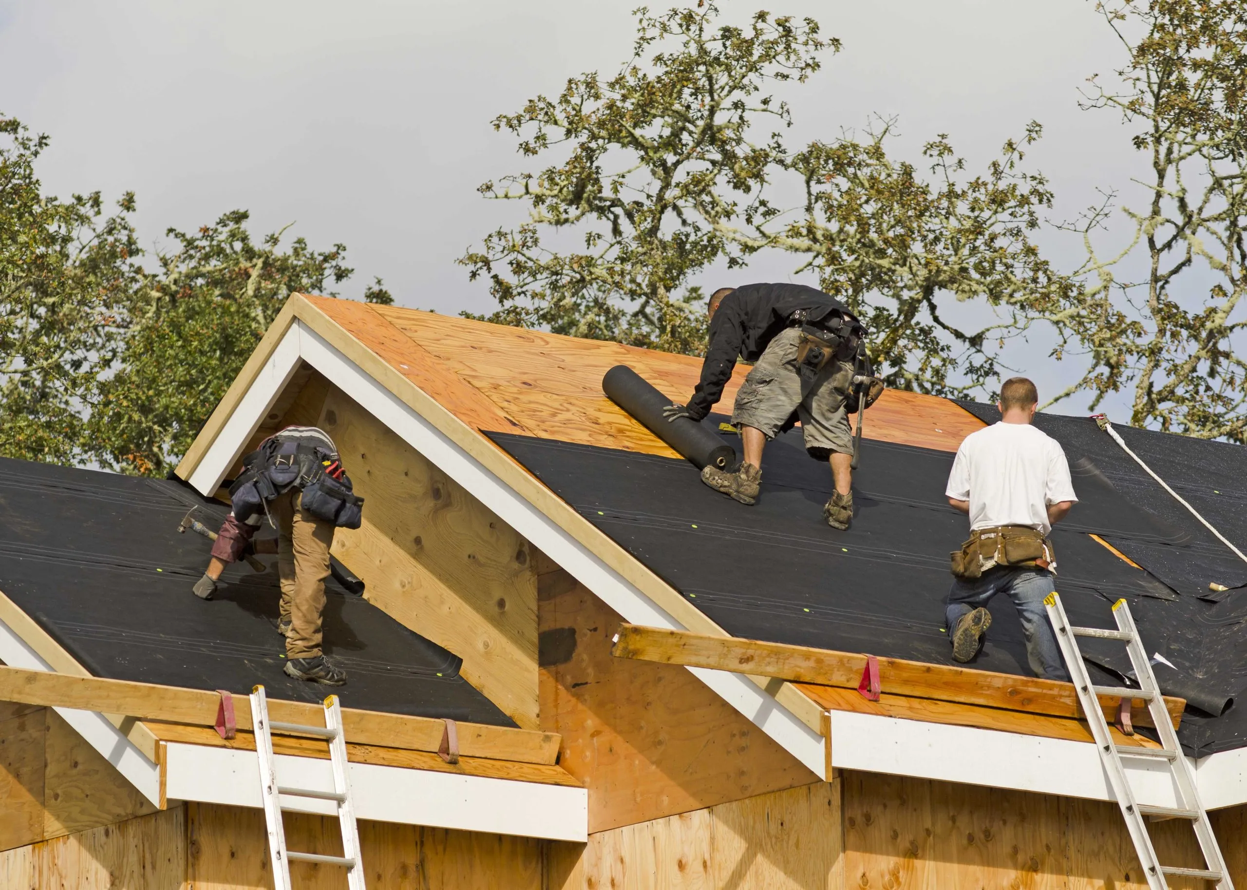 - Top-Rated Roofer Offering Reliable and Affordable Roofing Solutions