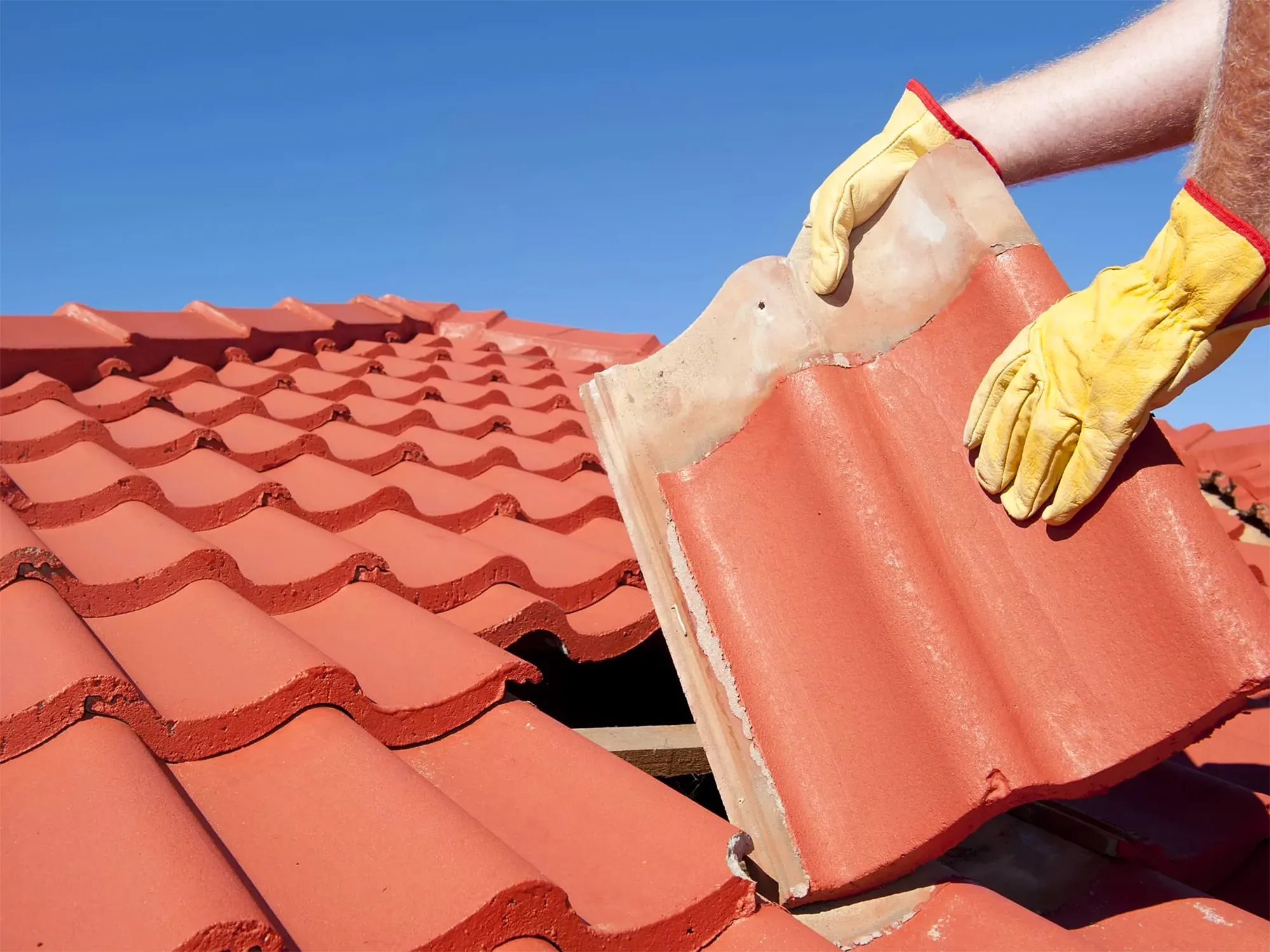 Enhance Your Property Value and Curb Appeal with Professional Roof Restoration